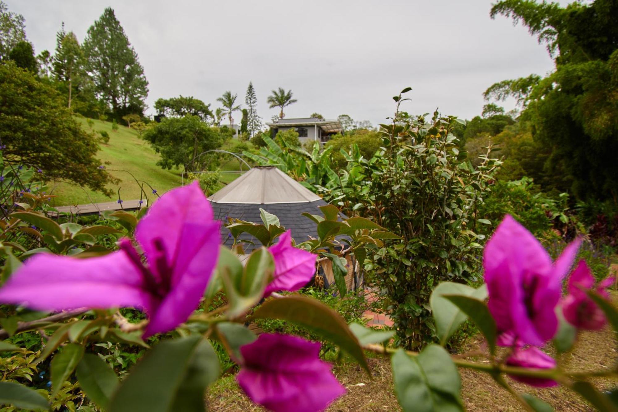 Kokumi By Bernalo Hotels Rionegro Bagian luar foto